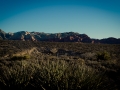 2015-01-07-Red-Rock-Canyon-Las-Vegas-Nevada-22
