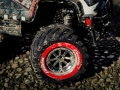 2015-Carrera-RC-370142007-Red-Hunter-Erfahrungen-10.jpg