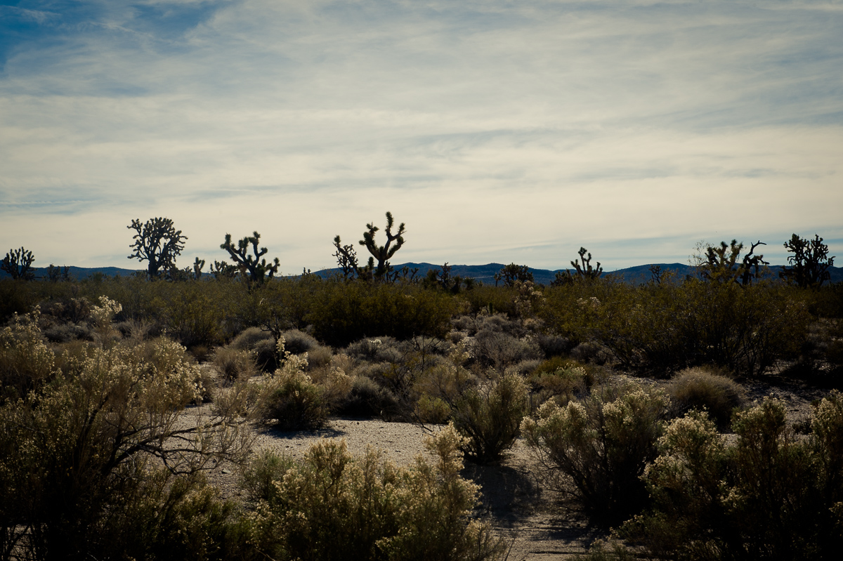 2015-01-07-Mojave-Wueste-Ausflug-Kalifornien-Baker-10