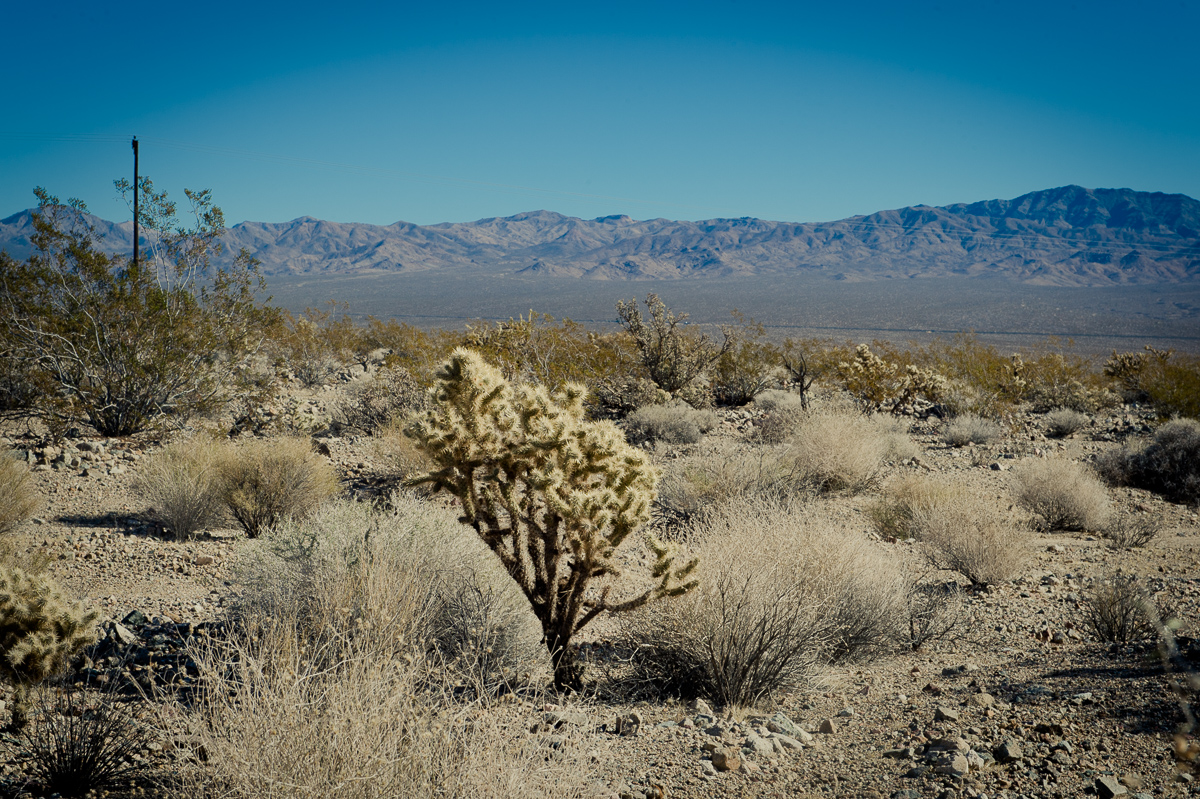 2015-01-07-Mojave-Wueste-Ausflug-Kalifornien-Baker-15