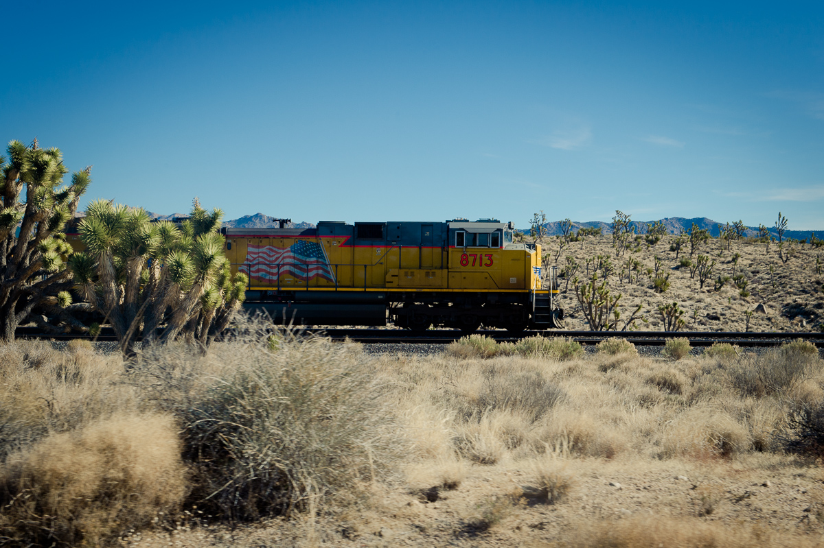 2015-01-07-Mojave-Wueste-Ausflug-Kalifornien-Baker-21