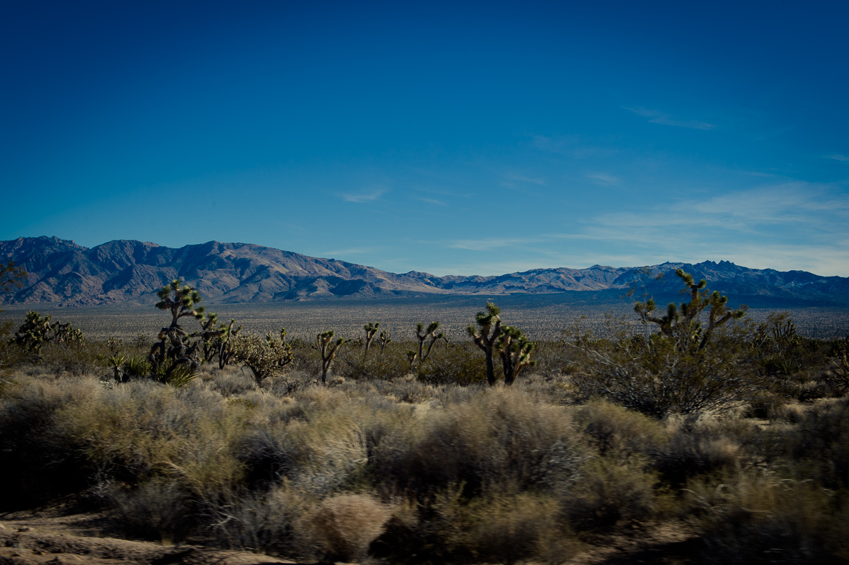 2015-01-07-Mojave-Wueste-Ausflug-Kalifornien-Baker-26