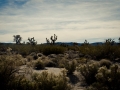 2015-01-07-Mojave-Wueste-Ausflug-Kalifornien-Baker-10