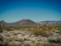 2015-01-07-Mojave-Wueste-Ausflug-Kalifornien-Baker-12