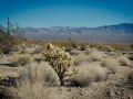 2015-01-07-Mojave-Wueste-Ausflug-Kalifornien-Baker-15