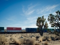 2015-01-07-Mojave-Wueste-Ausflug-Kalifornien-Baker-22