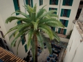 2015-Zimmer-407-Hotel-Tres-Palma-de-Mallorca-Spanien-17