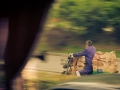 2015-05-24-Shanghai-durchs-Busfenster07