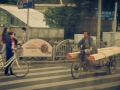 2015-05-24-Shanghai-durchs-Busfenster08