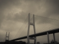 2015-05-24-Shanghai-durchs-Busfenster10