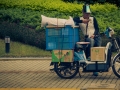 2015-05-24-Shanghai-durchs-Busfenster18