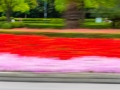 2015-05-24-Shanghai-durchs-Busfenster34