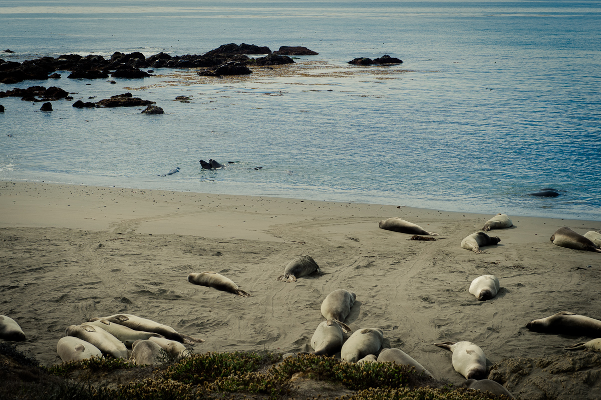 2014-roadtrip-mbrt14-california-pacific-coast-highway-route1-08