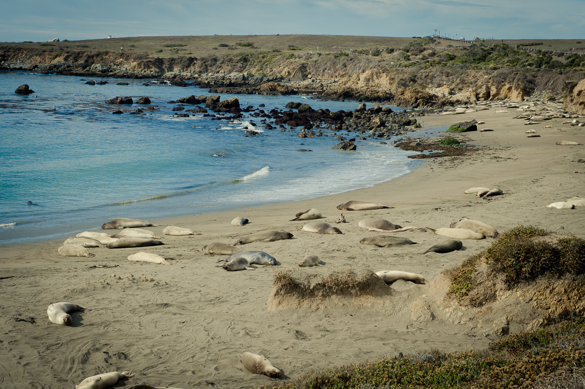 2014-roadtrip-mbrt14-california-pacific-coast-highway-route1-09