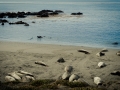2014-roadtrip-mbrt14-california-pacific-coast-highway-route1-08