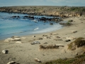 2014-roadtrip-mbrt14-california-pacific-coast-highway-route1-09