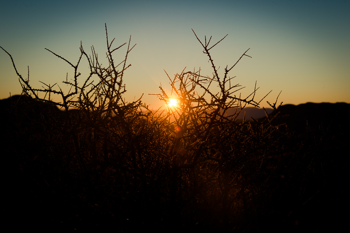 2015-01-07-Red-Rock-Canyon-Las-Vegas-Nevada-13