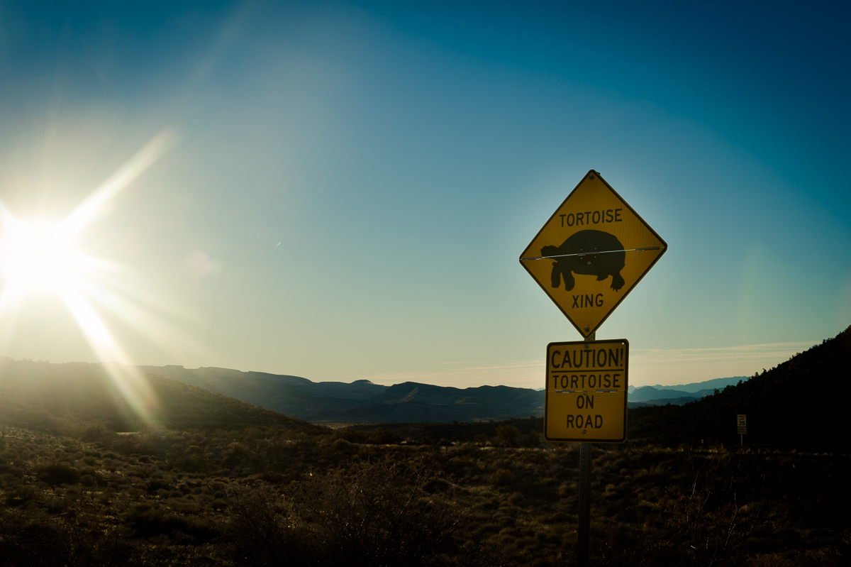 2015-01-07-Red-Rock-Canyon-Las-Vegas-Nevada-18