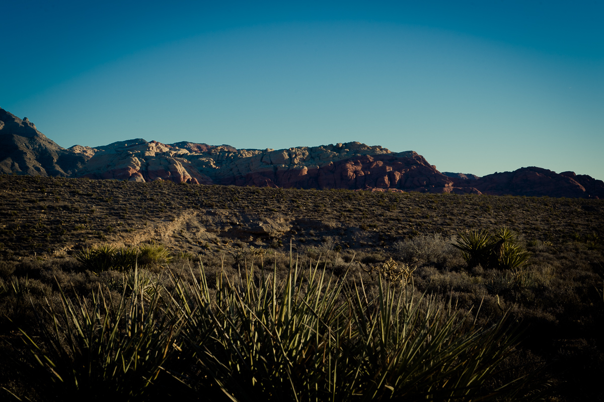 2015-01-07-Red-Rock-Canyon-Las-Vegas-Nevada-22