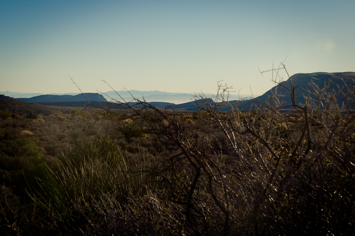 2015-01-07-Red-Rock-Canyon-Las-Vegas-Nevada-24