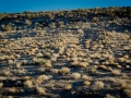 2015-01-07-Red-Rock-Canyon-Las-Vegas-Nevada-19