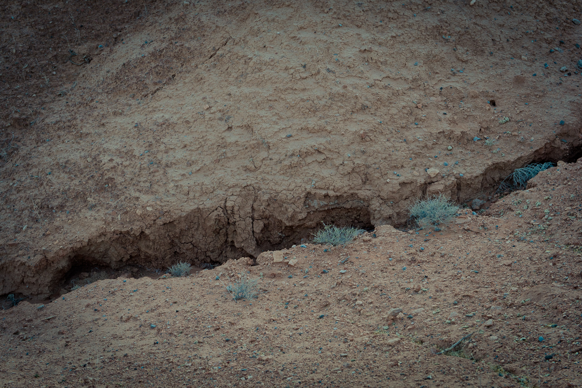 2015-01-07-Valley-of-Fire-Nevada-State-Park-12
