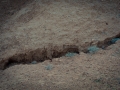 2015-01-07-Valley-of-Fire-Nevada-State-Park-12