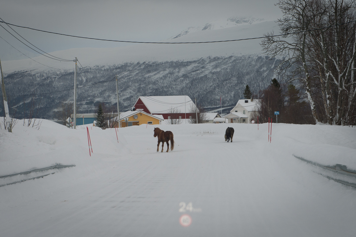 2015-Norwegen-Tromso-Malangen-Audi-07.jpg